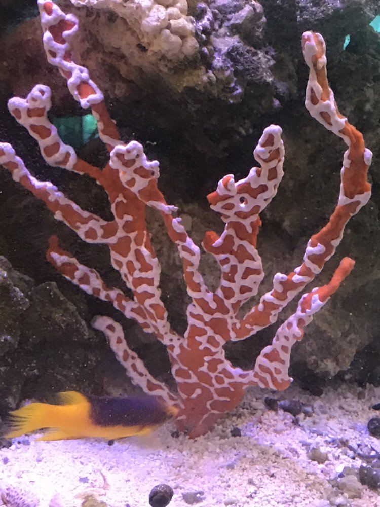 Harry's Marine Life - Photo 5