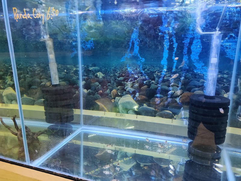 Nature Aquarium - Photo 2