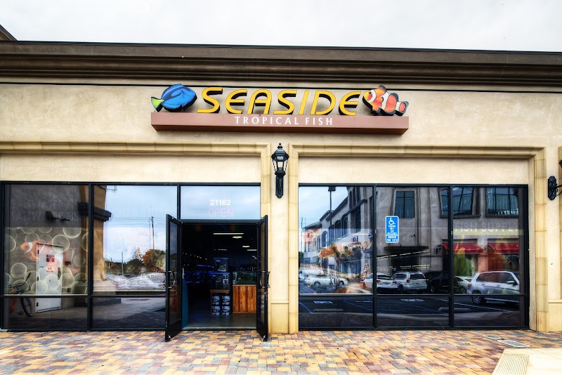 Seaside Tropical Fish - Photo 1