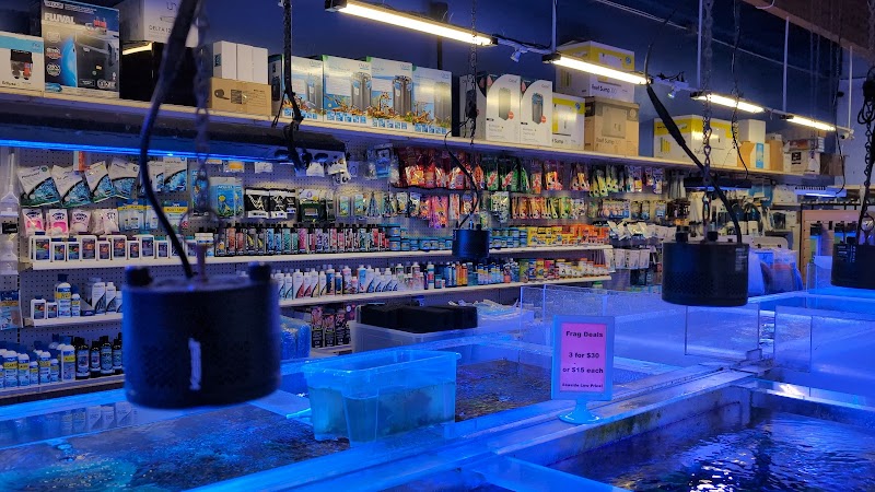 Seaside Tropical Fish - Photo 3