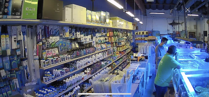 Seaside Tropical Fish - Photo 5