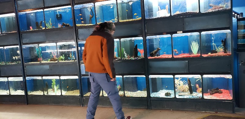 Tony’s Aquarium - Photo 1