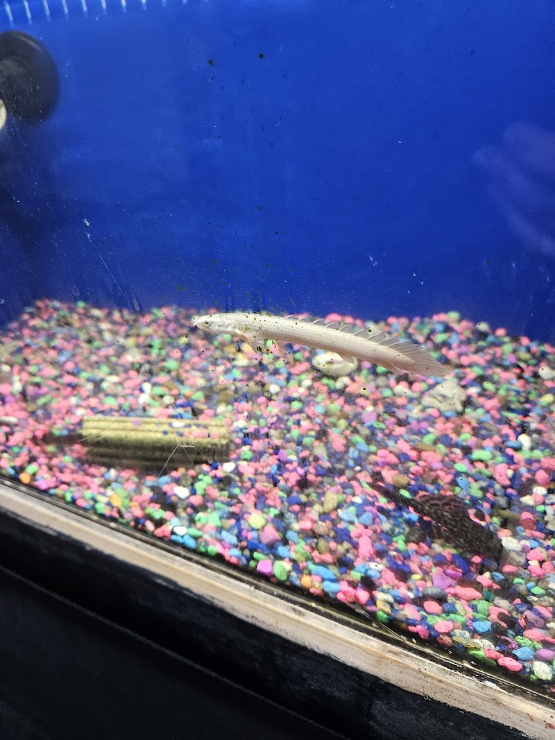 Tony’s Aquarium - Photo 3