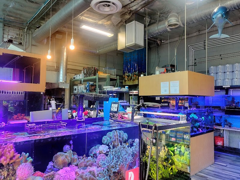 Age of Aquariums - Photo 2