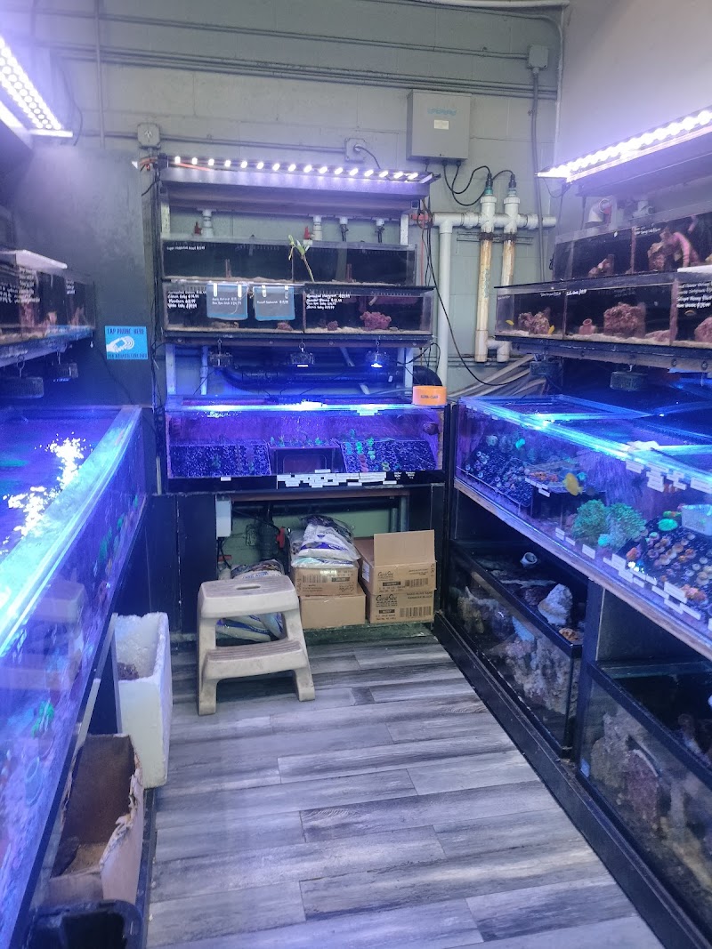 Age of Aquariums - Photo 5