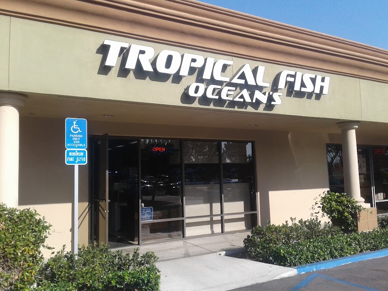 Ocean's Tropical Fish - Photo 1