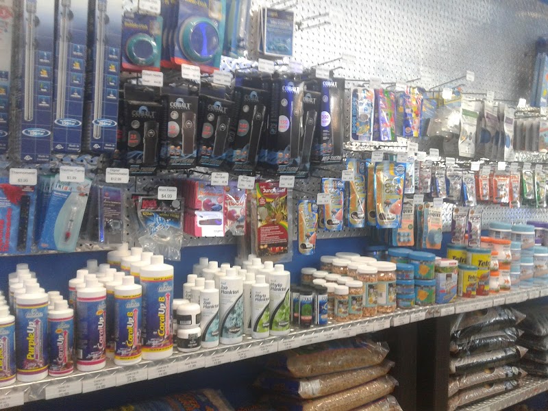 Ocean's Tropical Fish - Photo 3