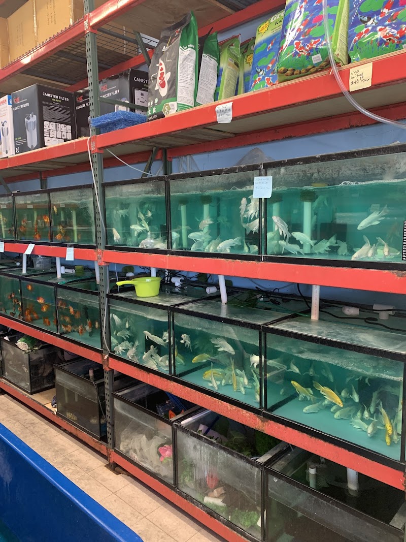 House Aquarium - Photo 2