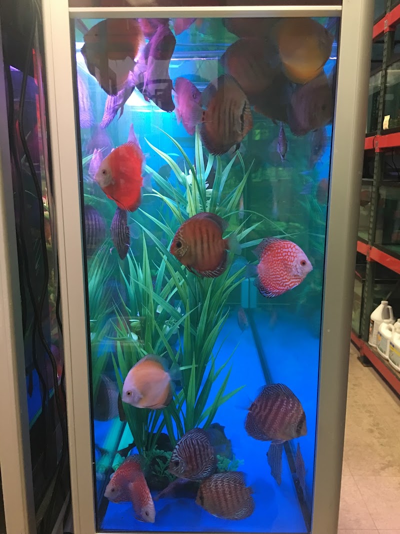 House Aquarium - Photo 3