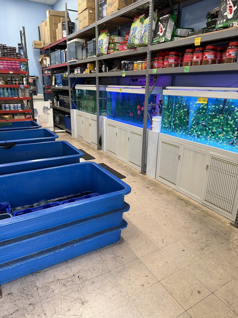 House Aquarium - Photo 5