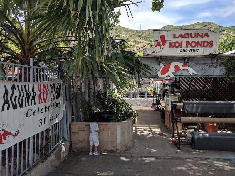 Laguna Koi Ponds - Photo 1