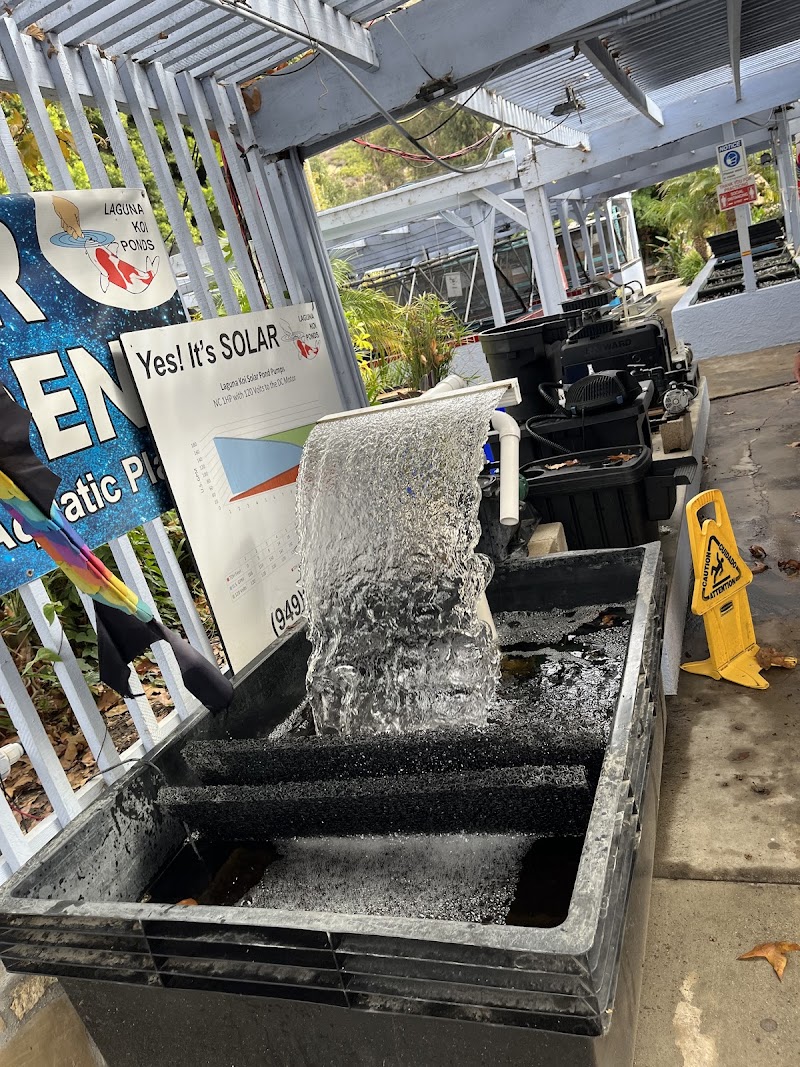 Laguna Koi Ponds - Photo 3