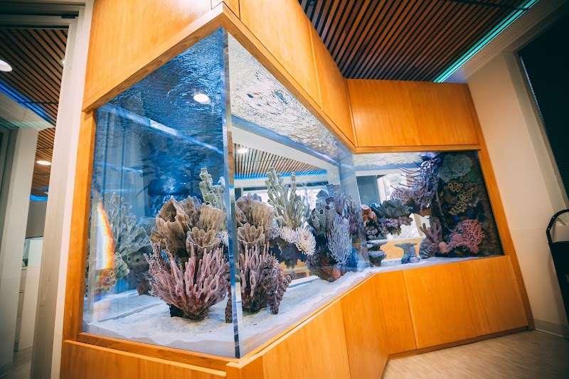 Oceans Aquarium Design - Photo 1