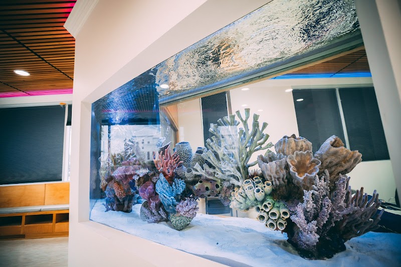 Oceans Aquarium Design - Photo 5