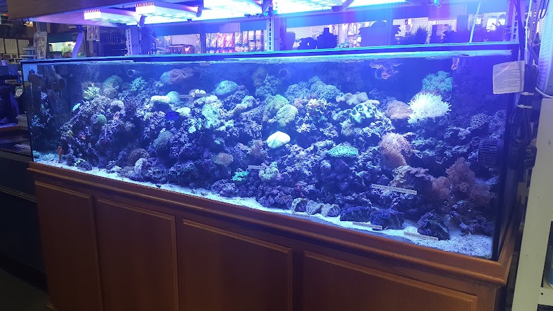 Strictly Fish - Photo 3