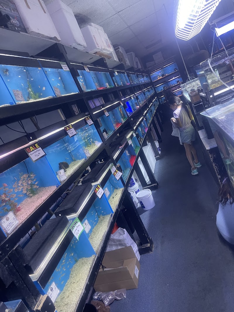 Strictly Fish - Photo 4