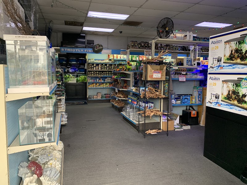 Strictly Fish - Photo 5