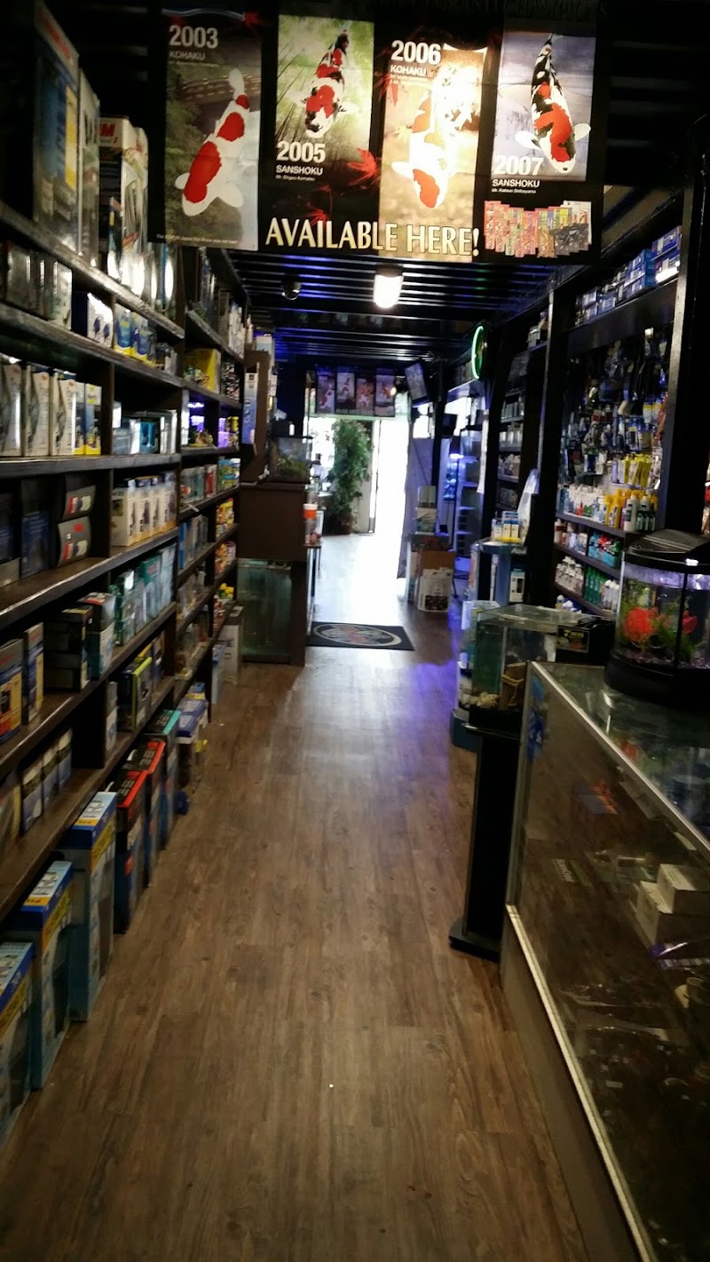 7 Seas Tropical Fish - Photo 2