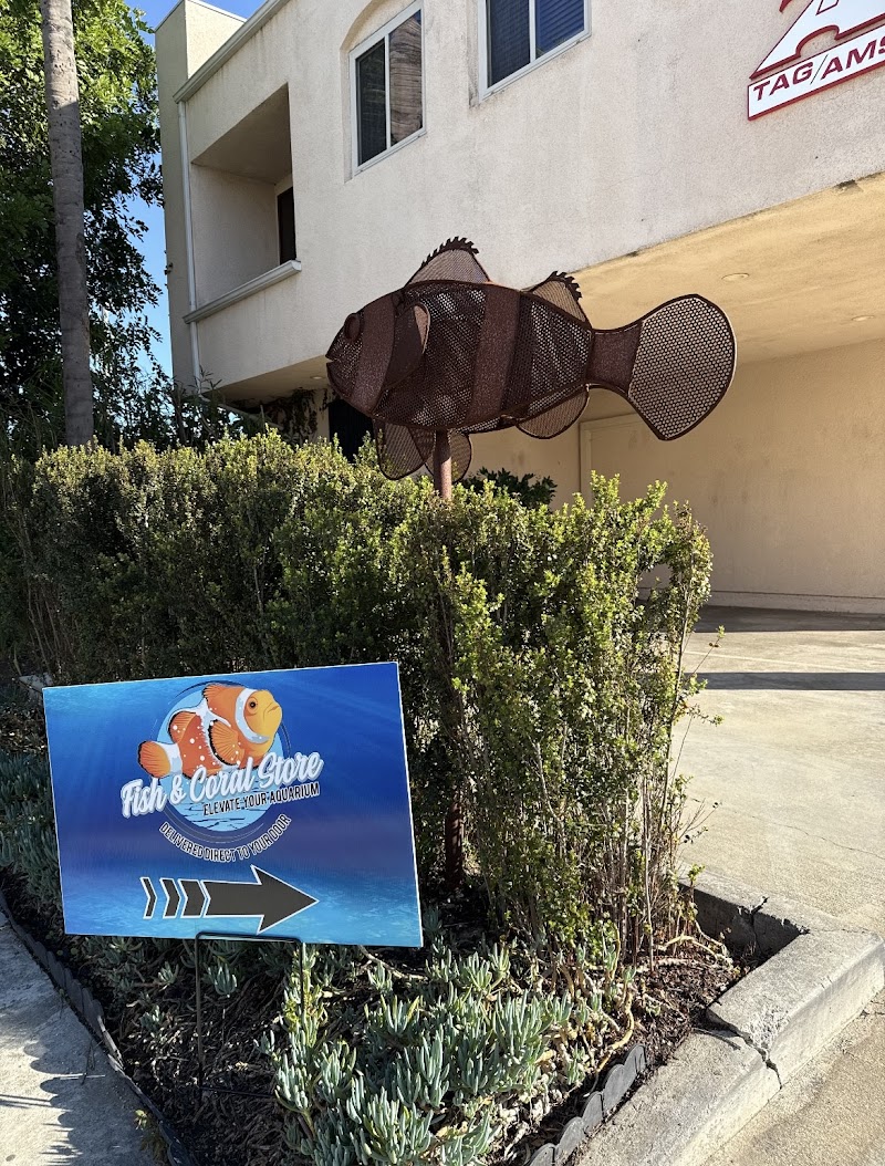 Fish and Coral Store - Photo 1