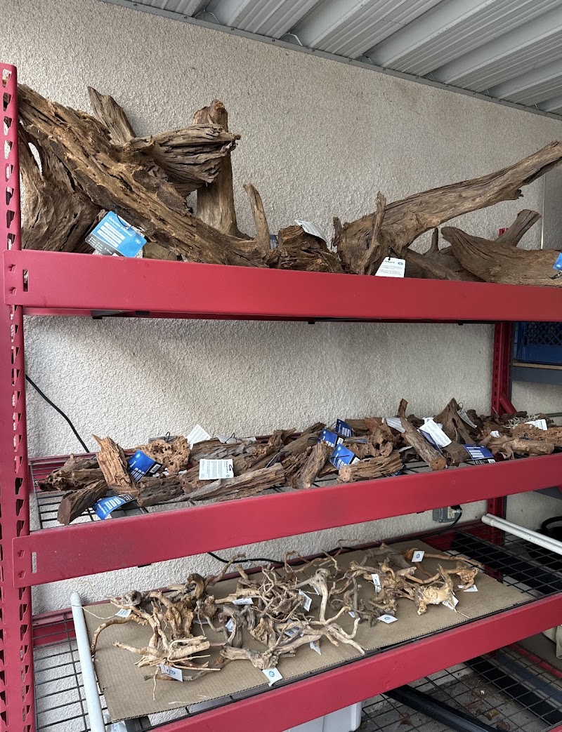 Fish and Coral Store - Photo 5