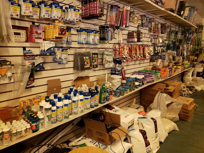 Carson Tropical Fish - Photo 4