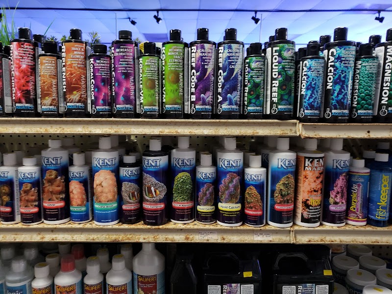 Carson Tropical Fish - Photo 5