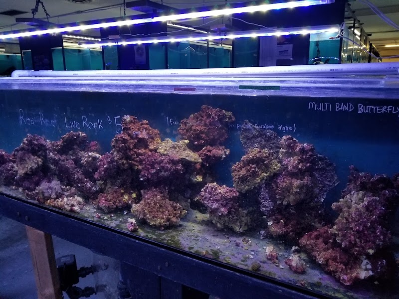 Exotic Aquarium - Photo 3