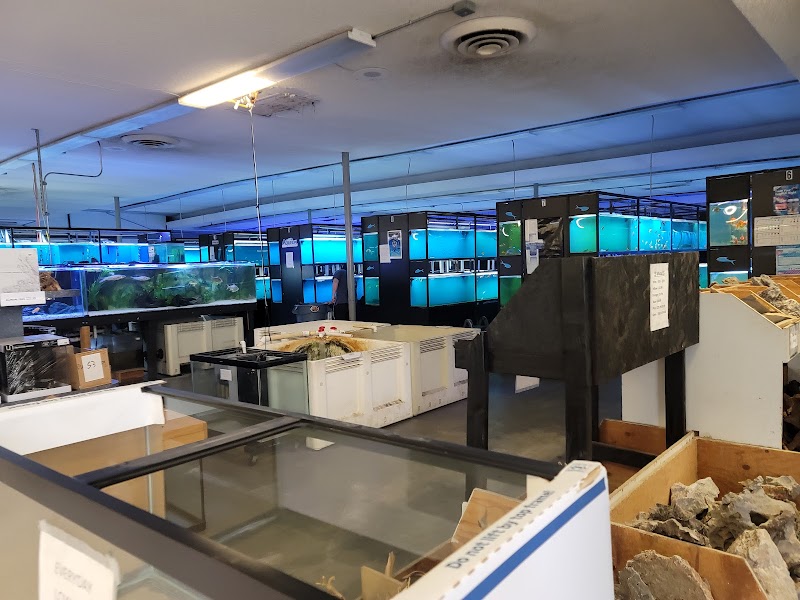 Exotic Aquarium - Photo 5