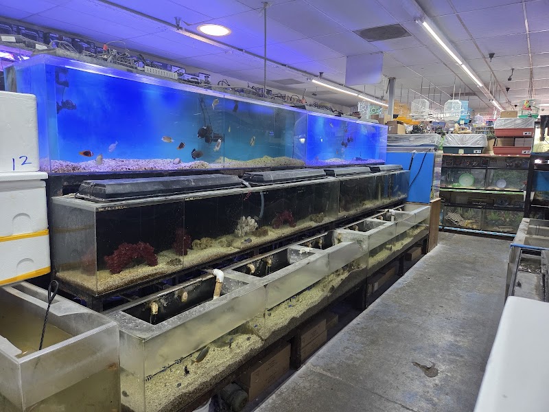 Twins Aquarium - Photo 2