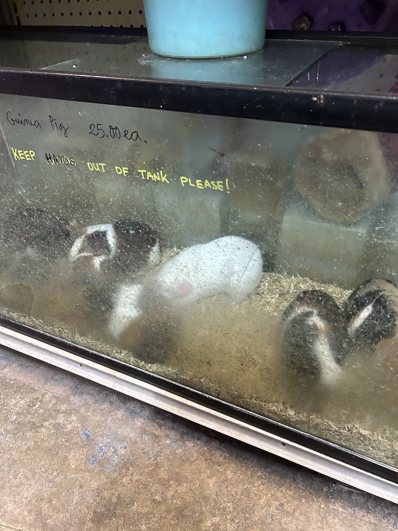 Twins Aquarium - Photo 5