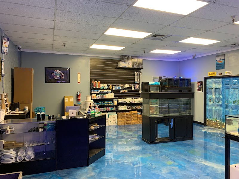 Hammer Aquatics - Photo 3