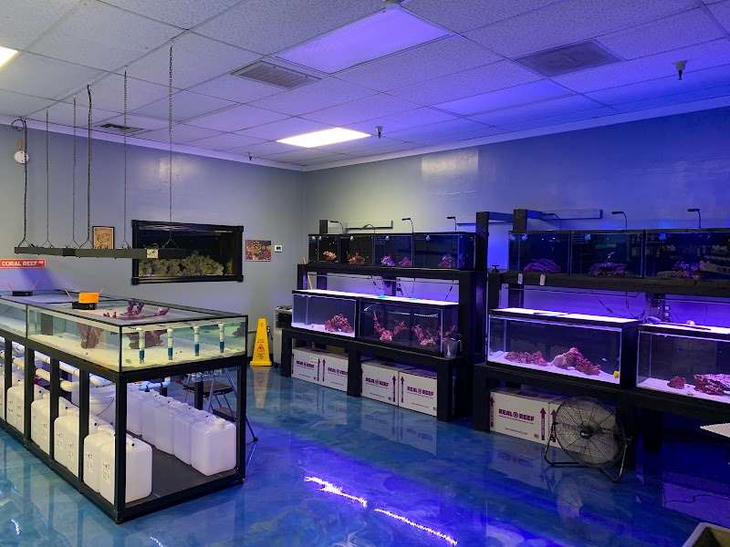 Hammer Aquatics - Photo 4