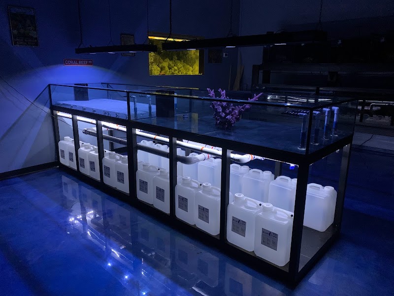 Hammer Aquatics - Photo 5