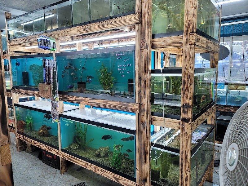 West coast cichlid supply LLC - Photo 1