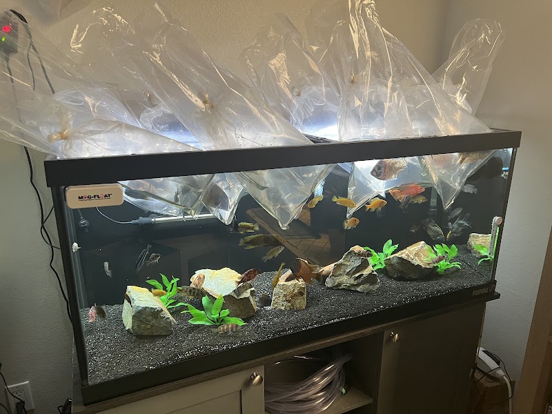 West coast cichlid supply LLC - Photo 3