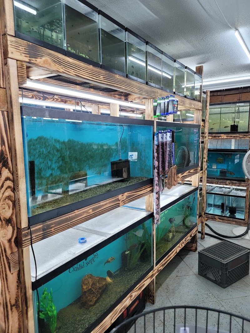 West coast cichlid supply LLC - Photo 4