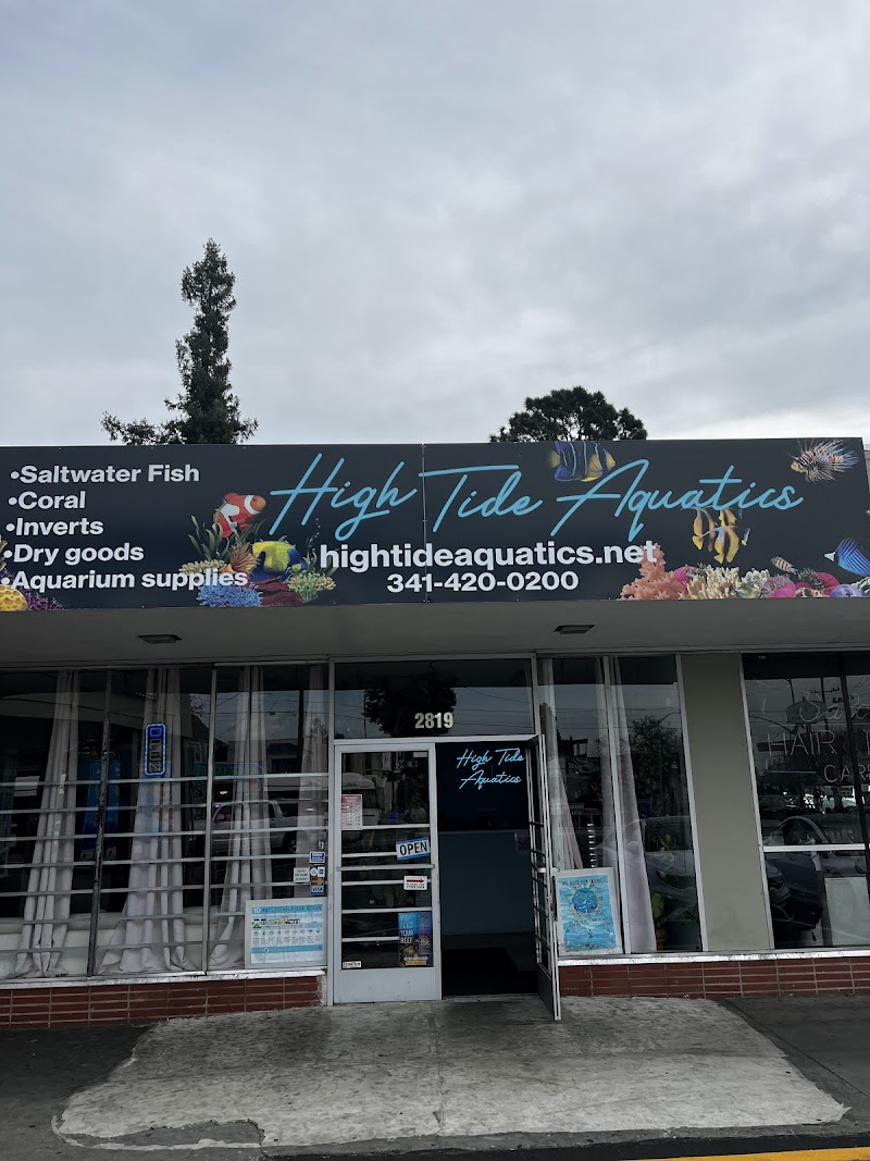 High Tide Aquatics - Photo 1