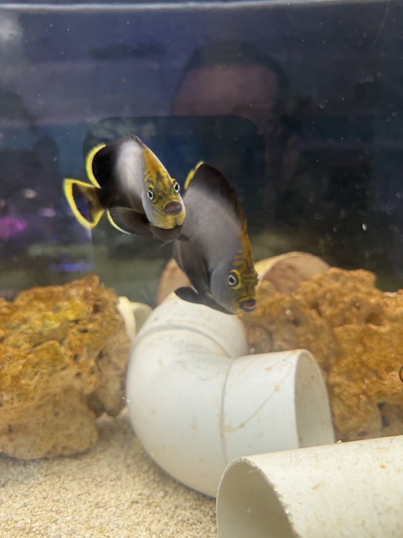 High Tide Aquatics - Photo 5