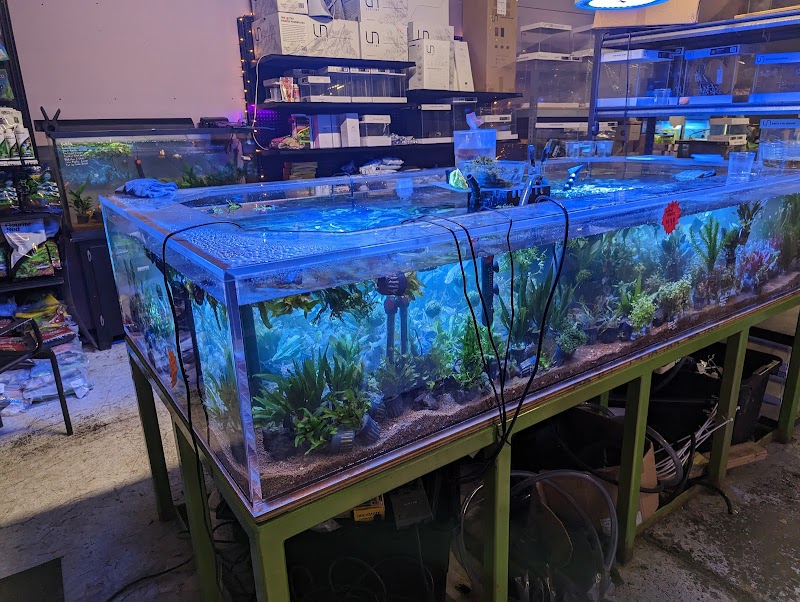 Bay Bridge Aquarium - Photo 4