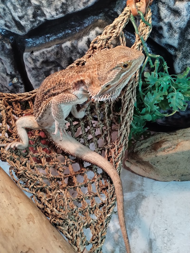 Franklin Aquarium Pet Shop - Photo 3