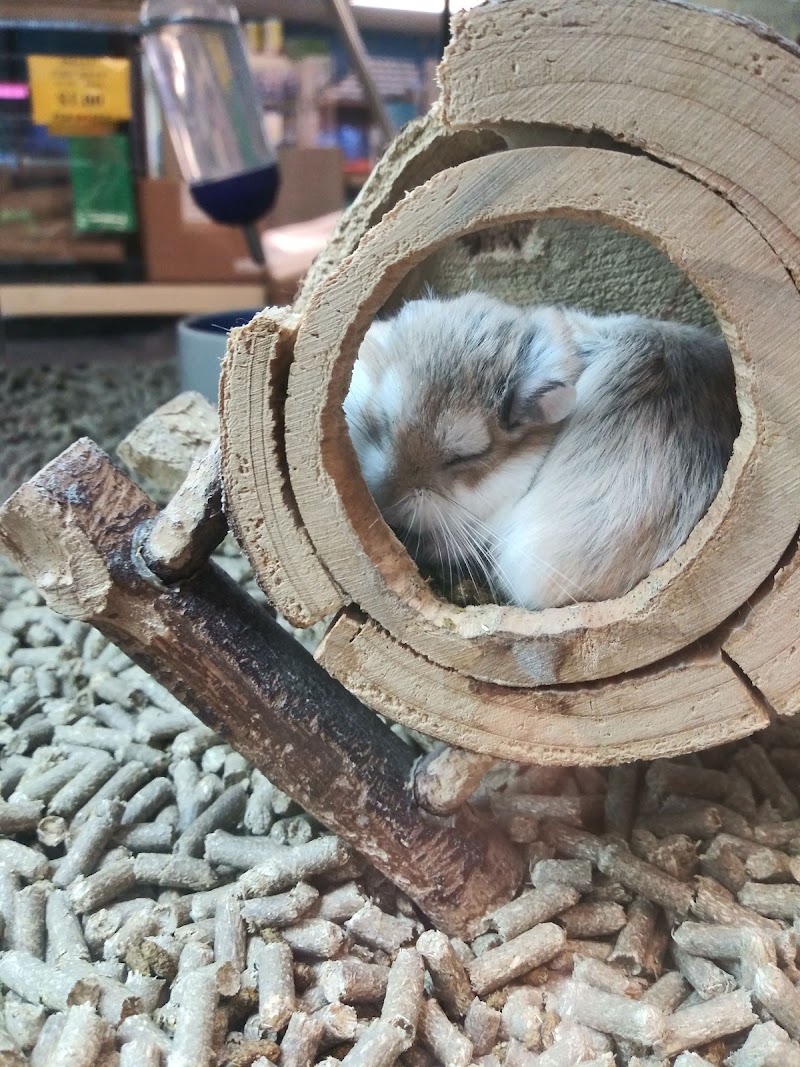 Franklin Aquarium Pet Shop - Photo 4