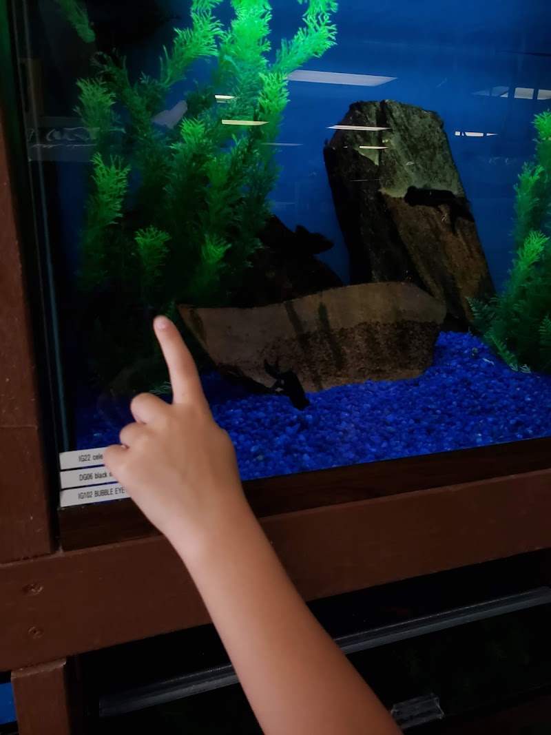 Franklin Aquarium Pet Shop - Photo 5