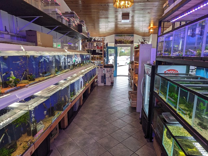 The Fish Barn - Photo 2
