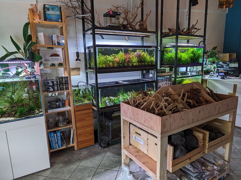 The Fish Barn - Photo 3