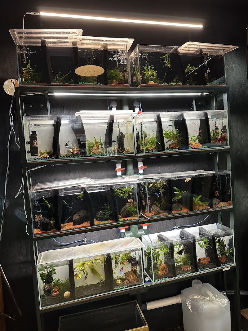 The Fish Barn - Photo 4