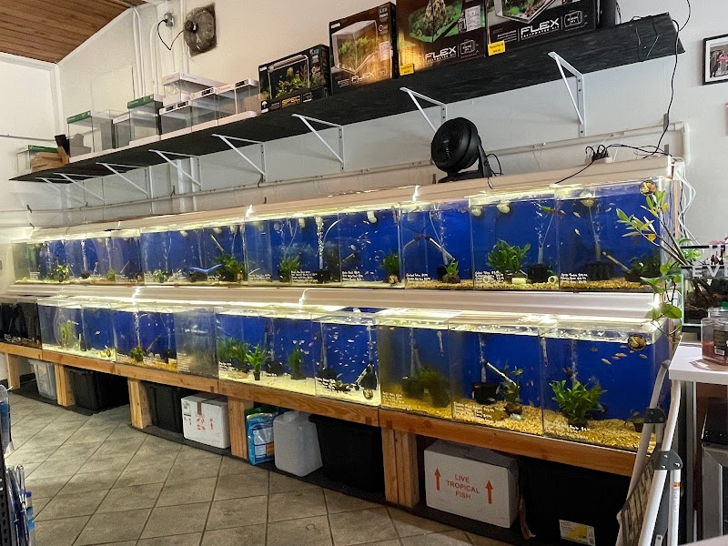 The Fish Barn - Photo 5