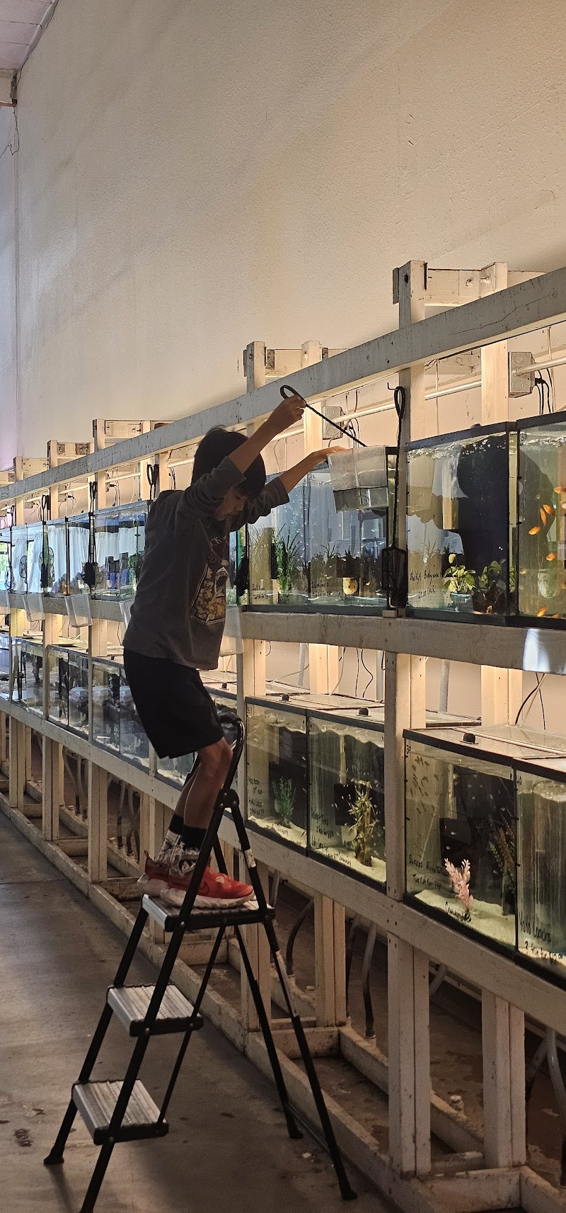 Concord Aquarium - Photo 2