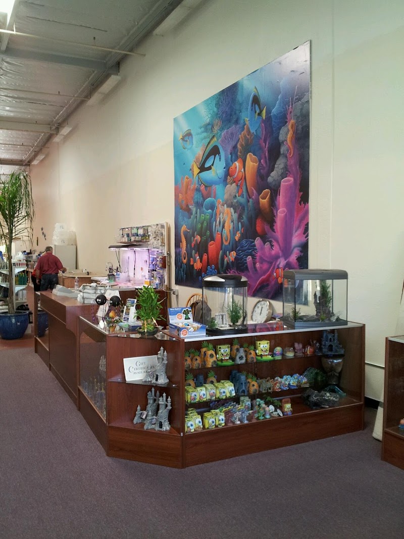 Concord Aquarium - Photo 3