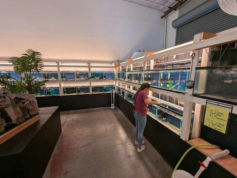 Concord Aquarium - Photo 4