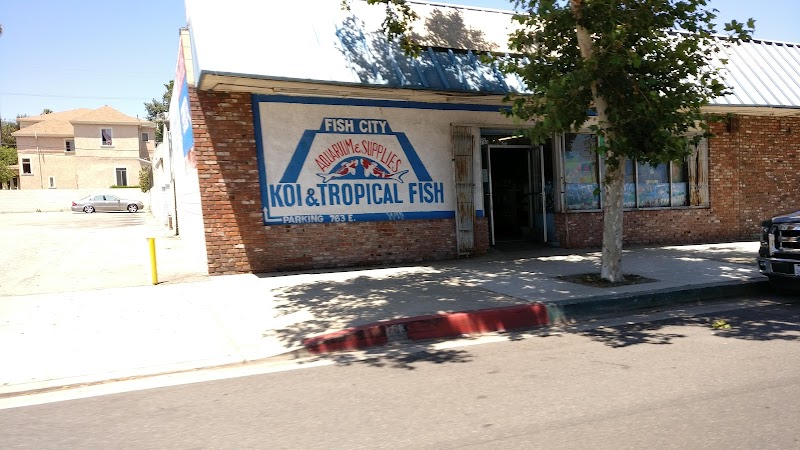 Fish City Koi & Tropical Fish - Photo 1